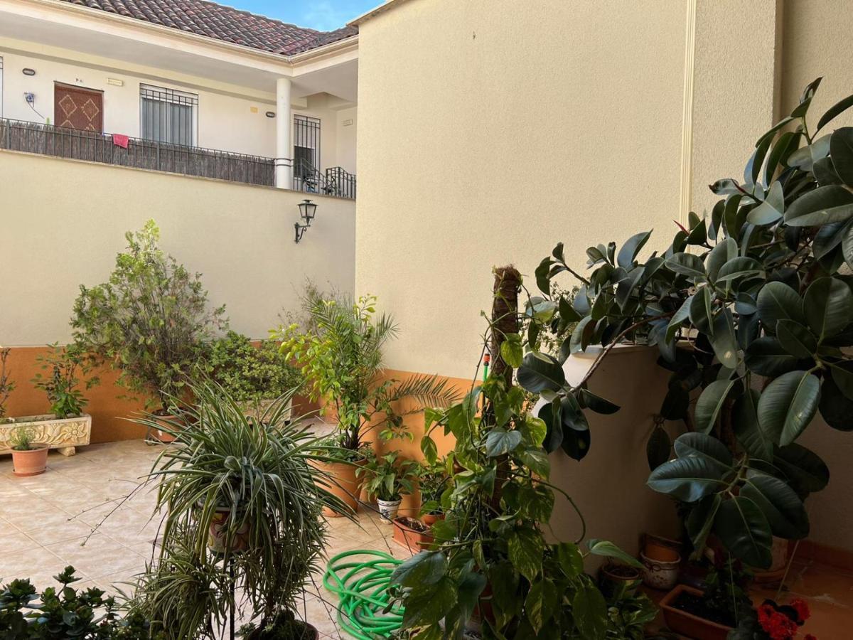 Apartamento Duplex El Tinte Cordoba Dış mekan fotoğraf